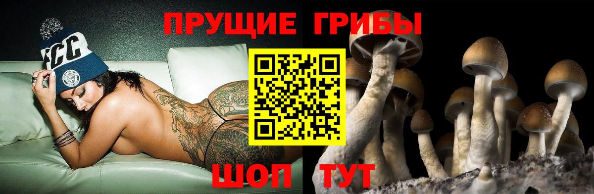 Псилоцибиновые грибы мухоморы  Вход с VPN  Киселёвск 